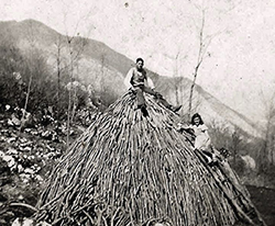 The Charcoal Makers