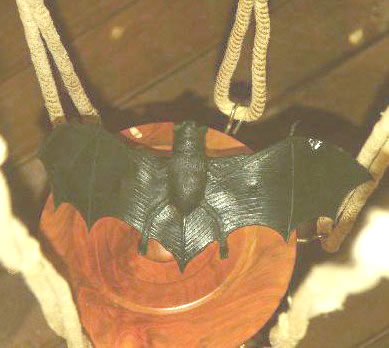 Bat under spider