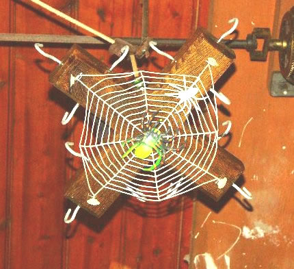 Web under spider